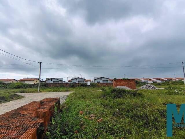 Terreno para Venda em Extremoz - 4