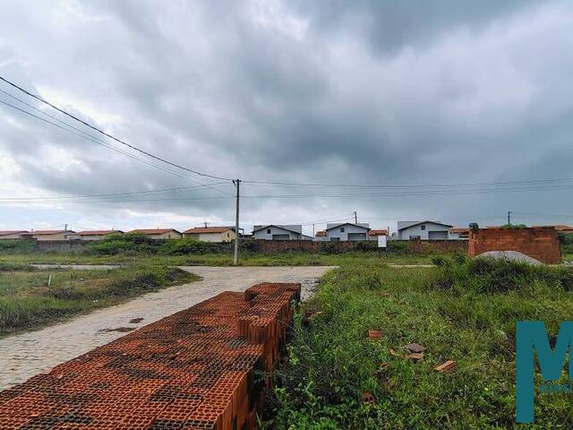 Terreno para Venda em Extremoz - 5